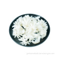 /msite/products/detail/productid/60716671/id/1336953.html